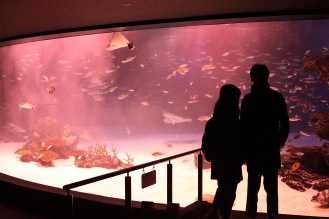 Les aquariums géants au Sunshine City d'Ikebukuro